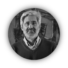 Professor Bruno Figliuolo